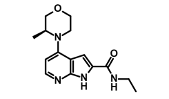 17-mth1-inhibitor