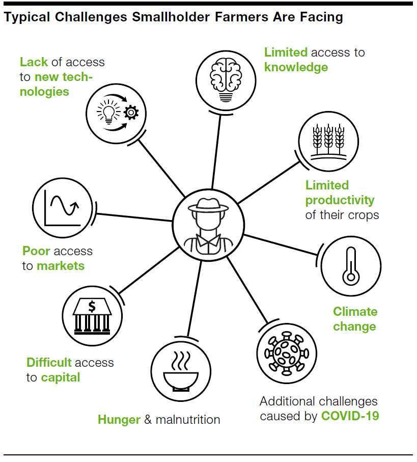 Smallholder Challenges
