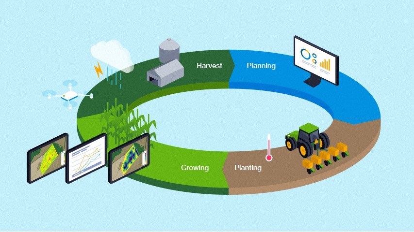 Scaling sustainability through Bayer & Microsoft partnership