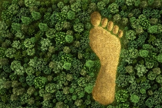  ​​​​​​​Ecological Footprint