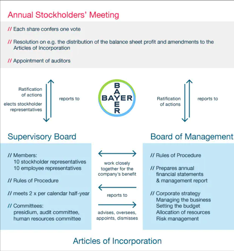 Infographic of Annual Stockholders Meeting