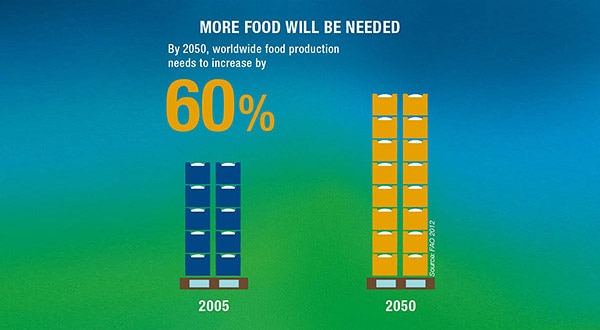 Feeding growing population: more food will be needed worldwide