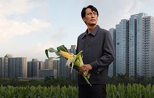 sustainable-agriculture-province-yunnan300