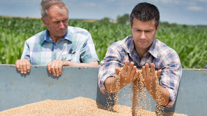 two_farmers_inspecting_crop