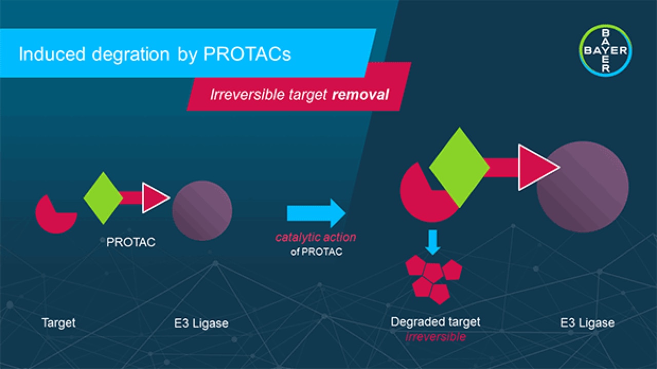 PROTAC_infographic-3