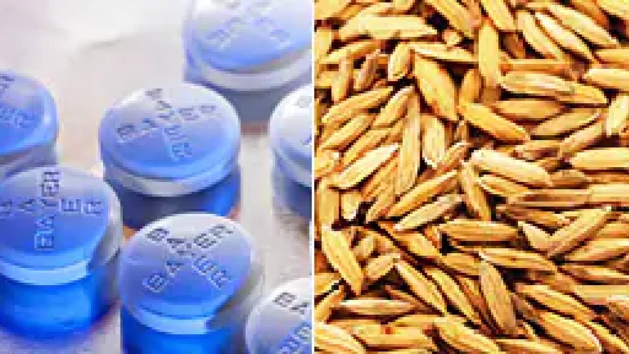 tablets grain seeds