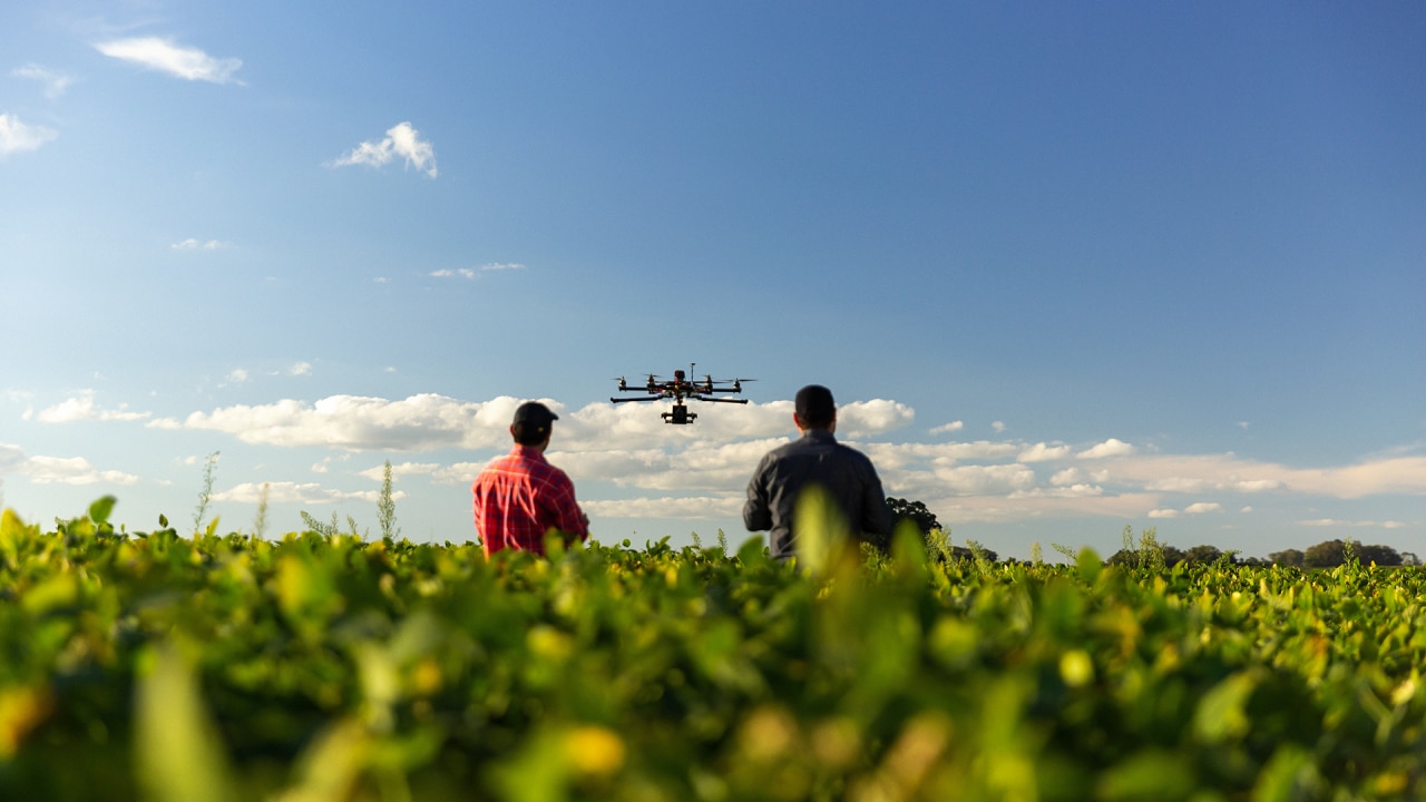 Drone over a soy field 
