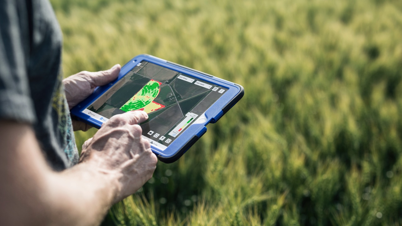 Farmer using Climate FieldView in a wheat field 