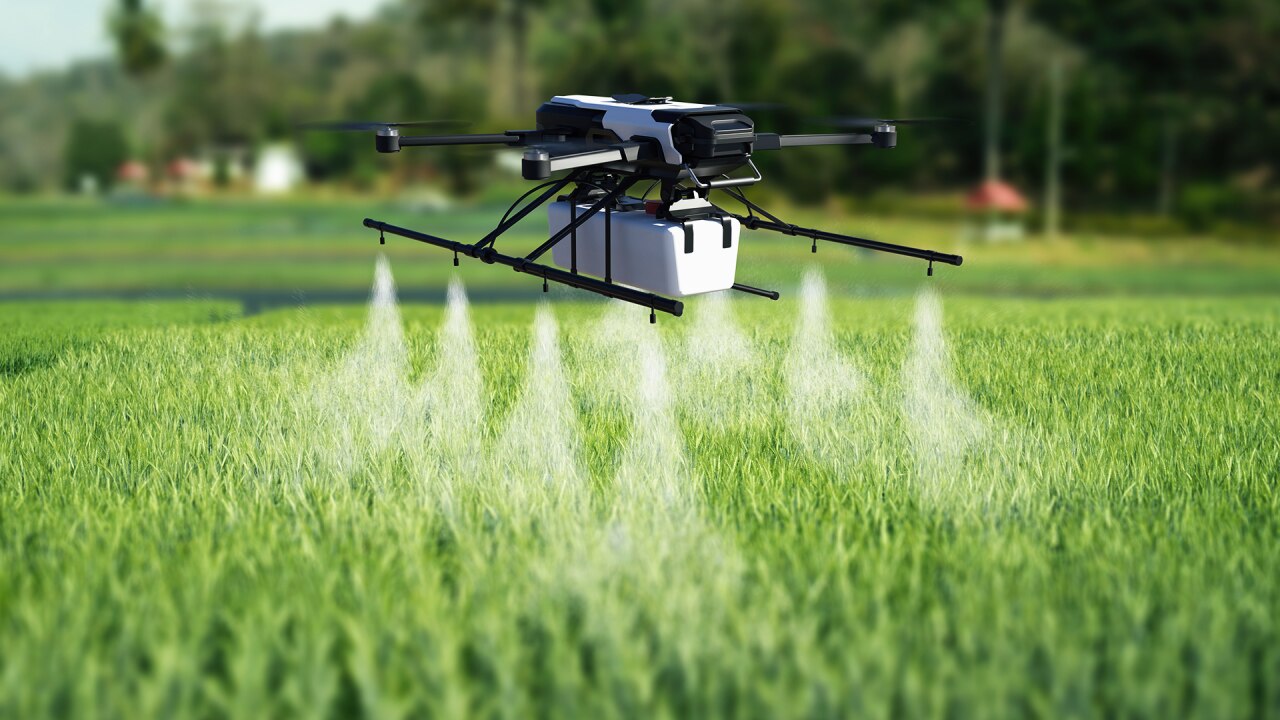 Drone spraying wheat field 