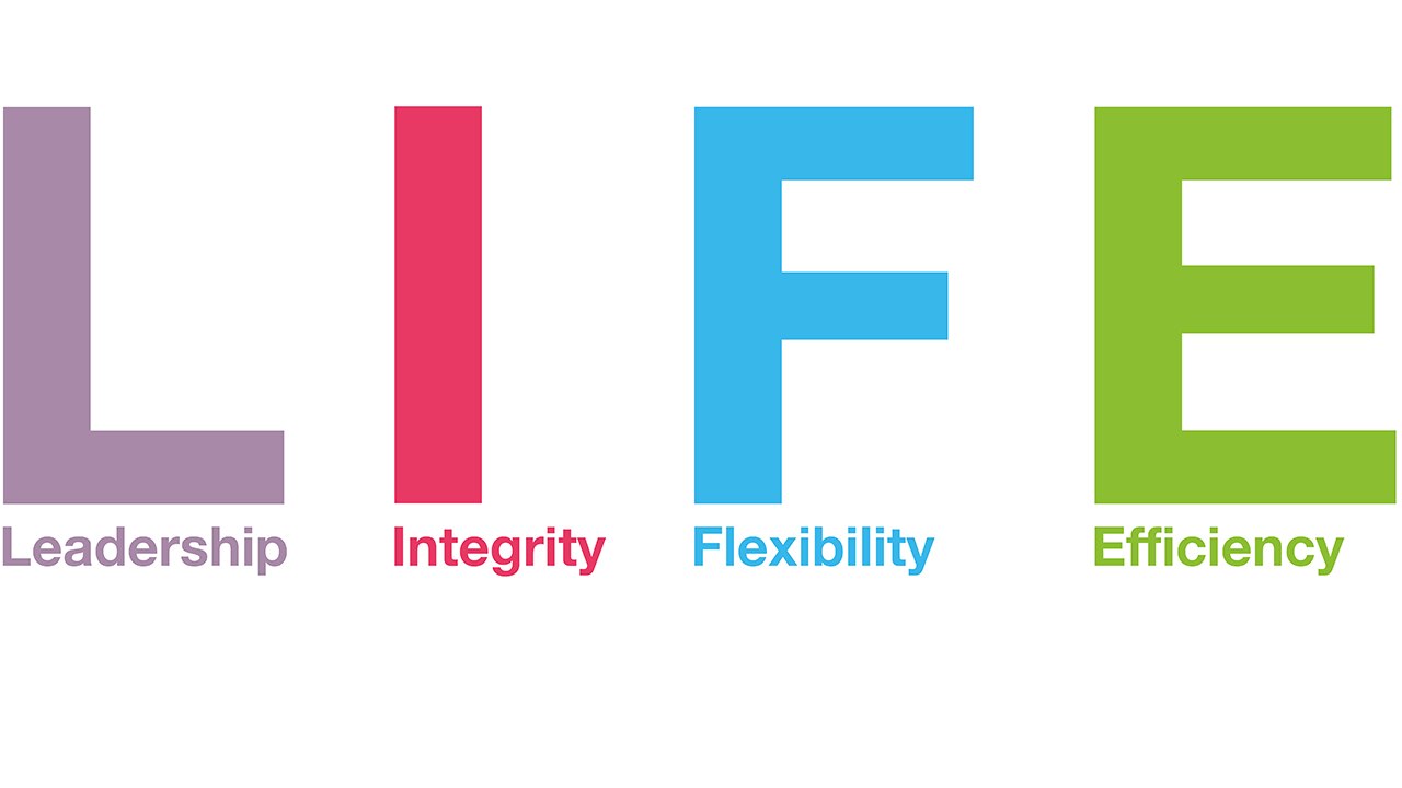 LIFE values logo