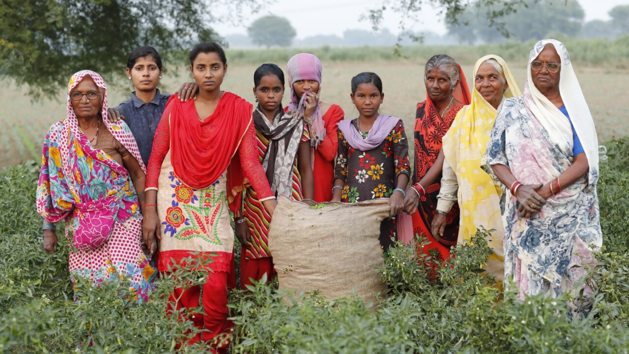 Indian Chili Pickers