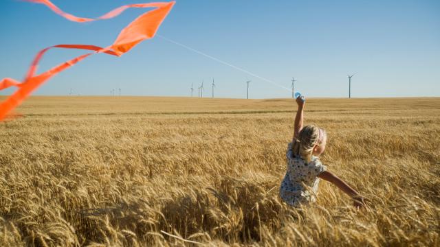 Girl with kite in wheat field