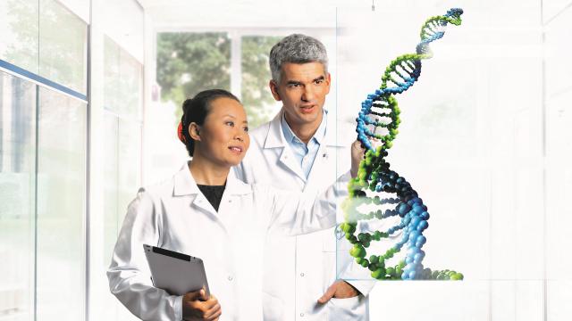 researchers