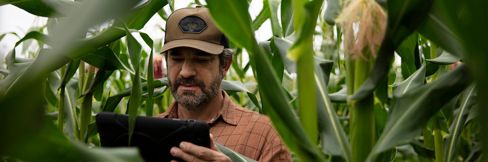 Farmer inspecting content displayed on tablet 