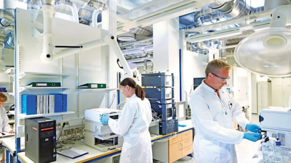 Researchers in a lab 