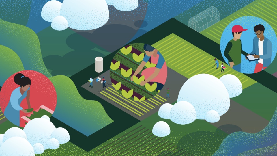 Colorful Illustration of farms with bubbles showing 3 scenarios: on the left a woman picking up cucumbers, in the middle a woman picking crops, and on the left two men in conversation with an ipad
